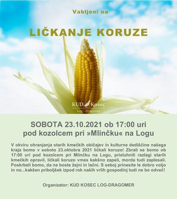 LIČKANJE KORUZE 2021