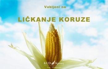 Ličkanje koruze