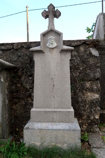 Pozabljeni pisatelj Alojzij Rovan (1870–1891) in njegov nagrobni spomenik