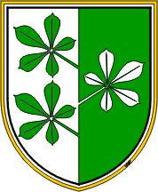 Centralni čakalni seznam za sprejem otrok v vrtec na območju občine Kidričevo za šolsko leto 2020/2021