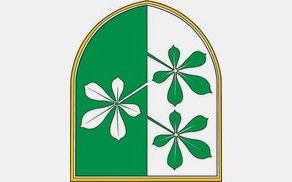 Objava sklepa ( Proračun Občine Kidričevo 2025)