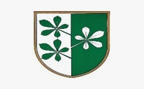 Zapisnik 22. redne seje občinskega sveta