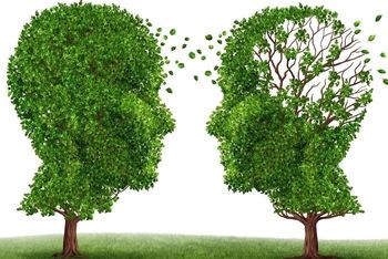 Skrb za osebe z demenco ter zaščita njihovih pravic in koristi v socialnem varstvu