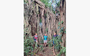 Potopisno predavanje Oceanija