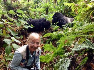 Potopisno predavanje Ruanda - gorske gorile v megli