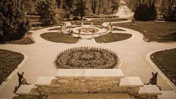 Promenadni družinski festival