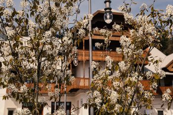 Glasovi Tivolija, pripovedovanje zgodb o Švicariji