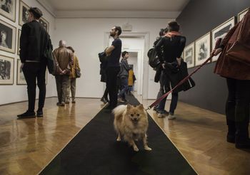 Vodstvo po razstavi David Lynch, Ogenj na odru