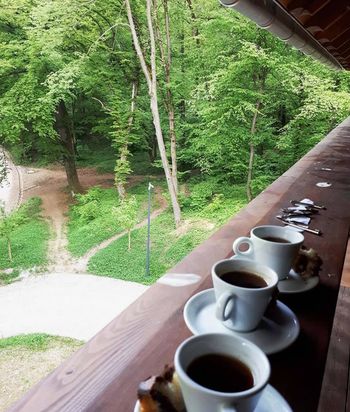 Hotel Tivoli med spomini in sanjami