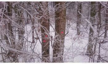 Odprtje razstave: Trude Johansen & Maruša Meglič