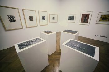 Zaključno vodstvo po razstavi Rika Debenjaka