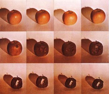 Zadnje vodstvo po razstavi Fotografske podobe in materialnost: japonska grafika v sedemdesetih letih