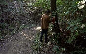 Danilo Milovanović: Neposredni učinki