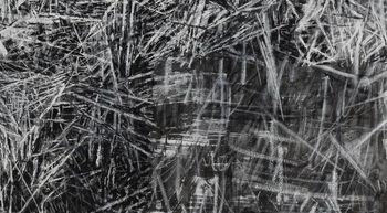 Anja Jerčič Jakob: Krhko ravnovesje