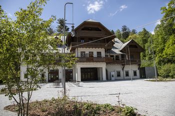 Naši drugi možgani in mehanizem pozornosti, predava dr. Robert Zorec