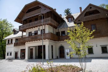 Cikel predavanj Umetnost, možgani, telo, predava izr. prof. dr. Andreja Avsec