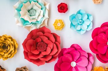 Rožice in metuljčki