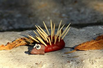 Igrajmo se s kostanji