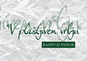 Pogovor z Radivojem Pahorjem na Slapu pri Vipavi