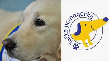 Ura pravljic v angleškem jeziku s tačkami pomagačkami