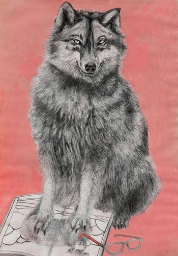 Predstavitev knjige Zverinice z roba gozda