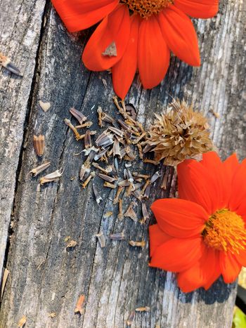 Brigita Šušteršič: Shranjevanje semen