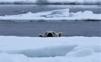 Zvone Žigon: Otočje Svalbard