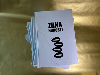 Peter Krkoč – Zrna norosti