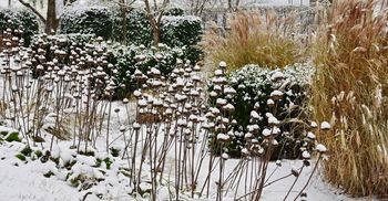 Enajsta šola v knjigarni: Vrt skozi štiri letne čase