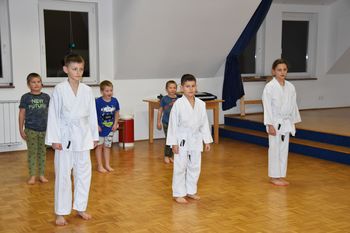 Predstavitev vadbe tai chija in karateja