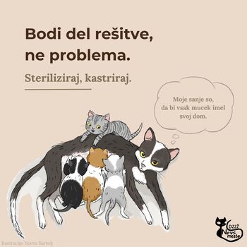 Človeška krutost ne pozna meja