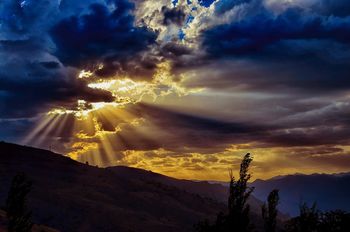 Transforma osebnostna terapija - informacijske urice BREZPLAČNOA