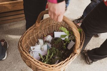 Tradicionalna menjava domačih semen in sadik na domačiji Pr' Petrov na Brodu v Logatcu