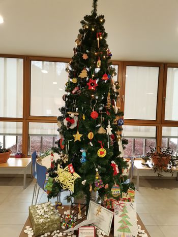 Božično-novoletna »Erasmus« smrečica na OŠ Tržišče