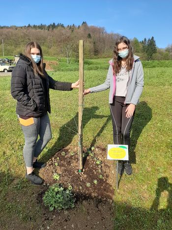 Sevniška voščenka tudi pri OŠ Tržišče