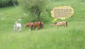 Na kmetiji je lepo, ija, ija, oooo!