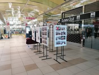 Priprave na nov zagon v Društvu MOST