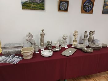 Začetek v Društvu MOST