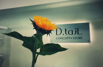 Prižig lučk in predstavitev gostujočih oblikovalcev - D.tajl Concept Store