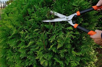 Obvestilo o odvozu zelenega odreza