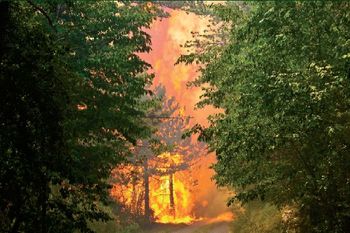 Razglas velike požarne ogroženosti naravnega okolja