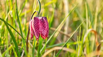 Likovni natečaj na temo ZGODBE NAŠIH MOKRIŠČ