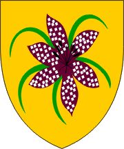 Rehabilitacija oseb z dolgotrajnimi posledicami COVID 19