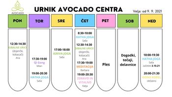 Dopoldanska Hatha joga