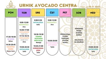 Joga v Avocado centru v Logatcu