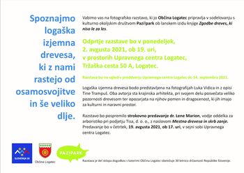 Fotografska razstava: Spoznajmo logaška izjemna drevesa,  ki z nami rastejo od osamosvojitve in še veliko dlje