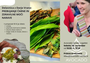 Delavnica z Darjo Vrana: Prebujanje čarne in zdravilne moči narave