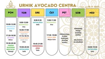 Joga v Avocado centru v Logatcu
