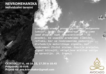Nevromehanika - individulni termini