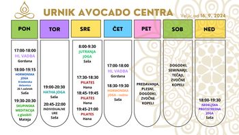 Joga v Avocado centru v Logatcu